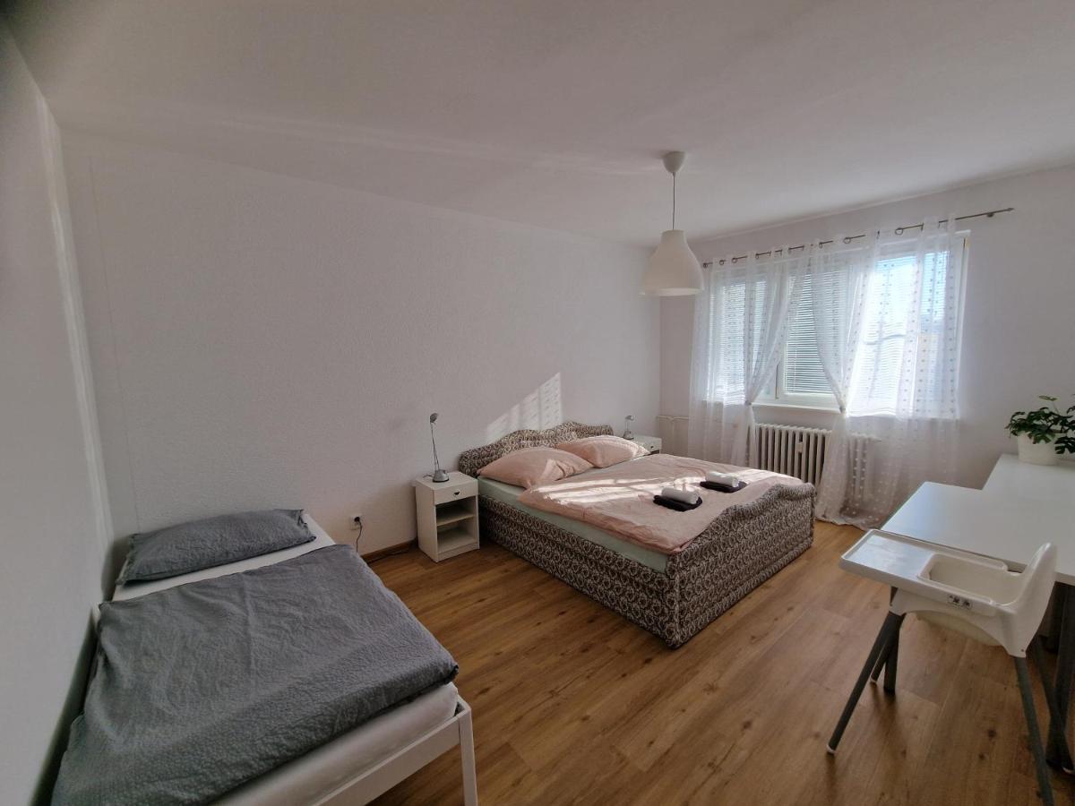 Apartment Simon Ii. Františkovy Lázně エクステリア 写真